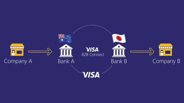 Visa Blockchain-Based Digital Identity System B2B Connect