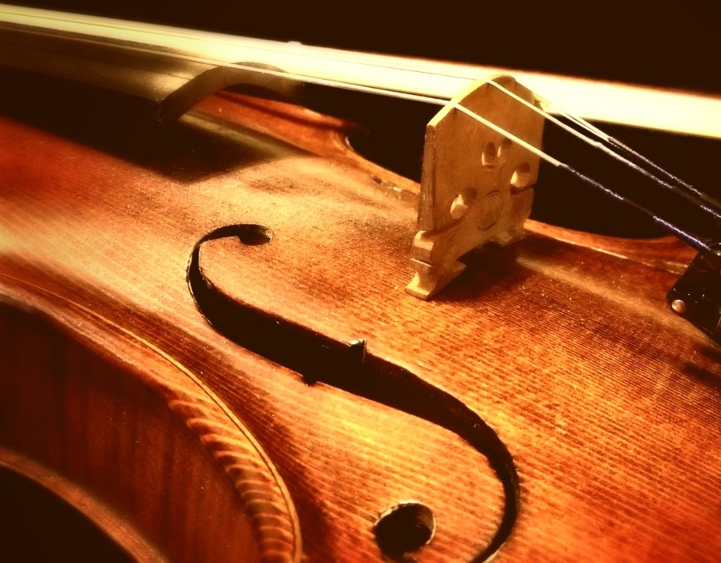 A close-up photograph of a violin.