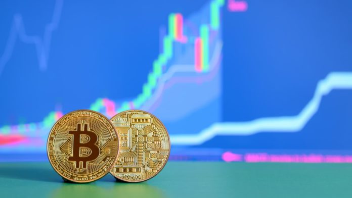 Two gold bitcoins lie on the green surface on the background of the display, which depicts the growth of the position on the chart